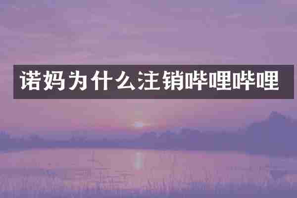 诺妈为什么注销哔哩哔哩