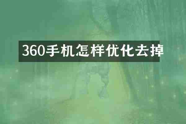 360手机怎样优化去掉