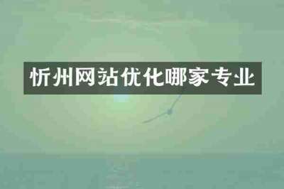忻州网站优化哪家专业