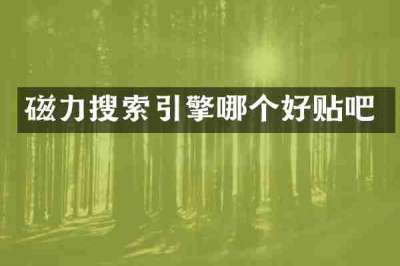 磁力搜索引擎哪个好贴吧