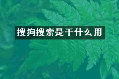 搜狗搜索是干什么用
