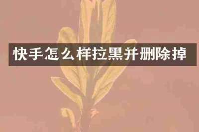 快手怎么样拉黑并删除掉