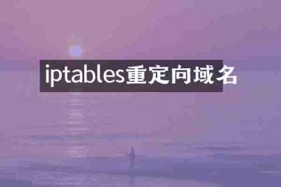 iptables重定向域名