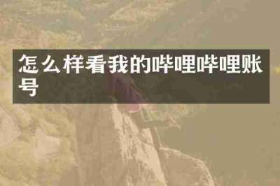 怎么样看我的哔哩哔哩账号
