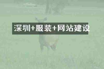 深圳+服装+网站建设