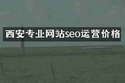 西安专业网站seo运营价格