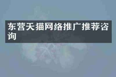 东营天猫网络推广推荐咨询