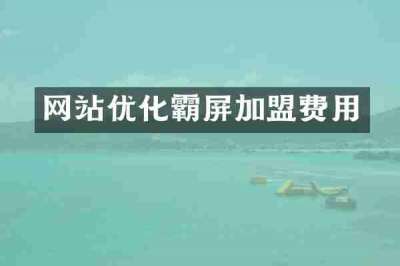 网站优化霸屏加盟费用