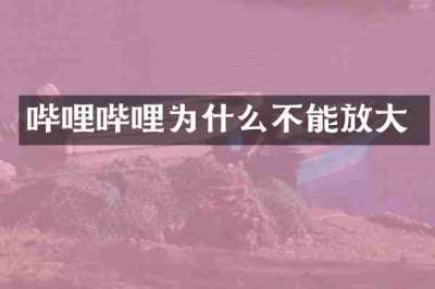 哔哩哔哩为什么不能放大