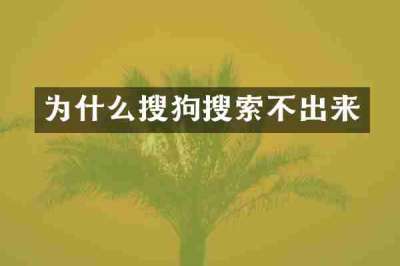 为什么搜狗搜索不出来