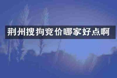 荆州搜狗竞价哪家好点啊