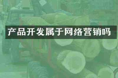 产品开发属于网络营销吗