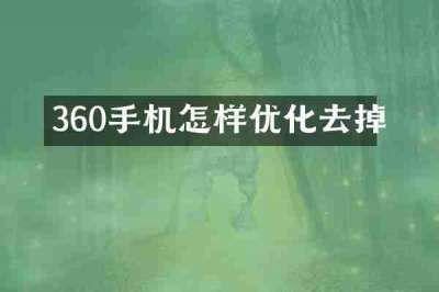 360手机怎样优化去掉