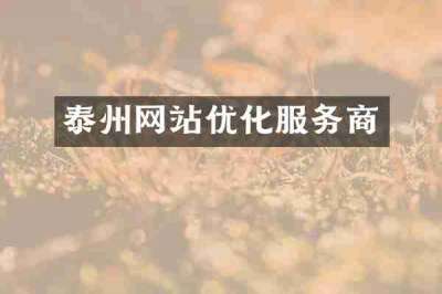 泰州网站优化服务商