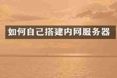 如何自己搭建内网服务器