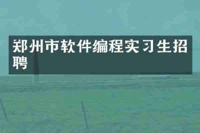 郑州市软件编程实习生招聘