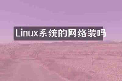Linux系统的网络装吗