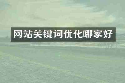 网站关键词优化哪家好
