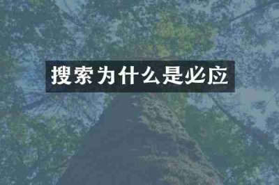 搜索为什么是必应