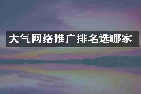 大气网络推广排名选哪家