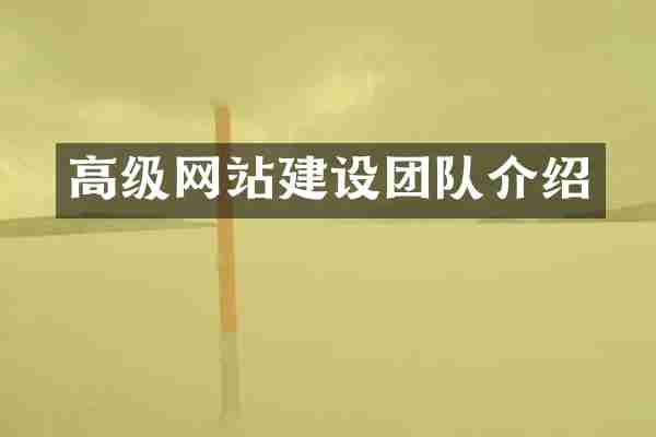 高级网站建设团队介绍