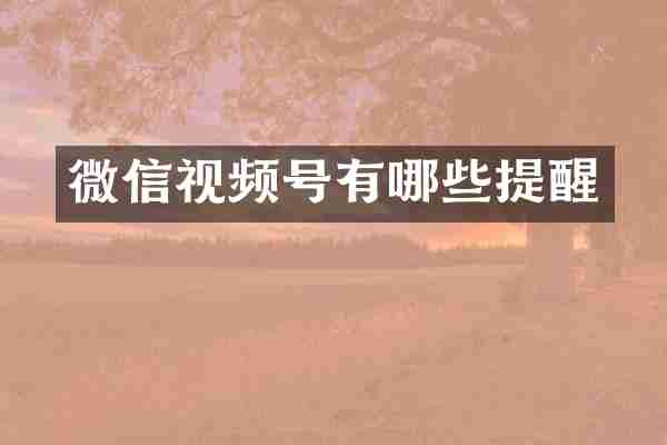微信视频号有哪些提醒