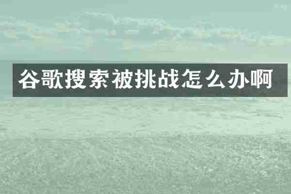 谷歌搜索被挑战怎么办啊