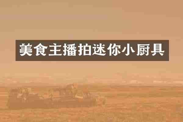 美食主播拍迷你小厨具