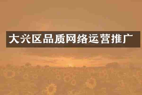 大兴区品质网络运营推广