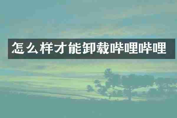 怎么样才能卸载哔哩哔哩