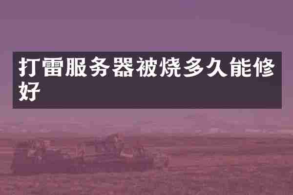 打雷服务器被烧多久能修好