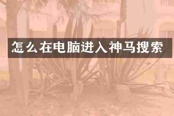 怎么在电脑进入神马搜索