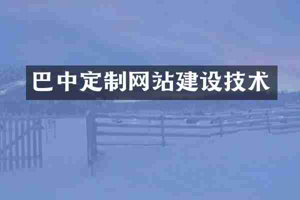 巴中定制网站建设技术