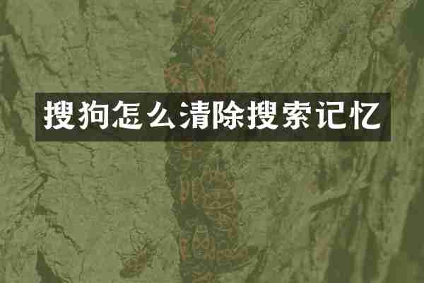 搜狗怎么清除搜索记忆