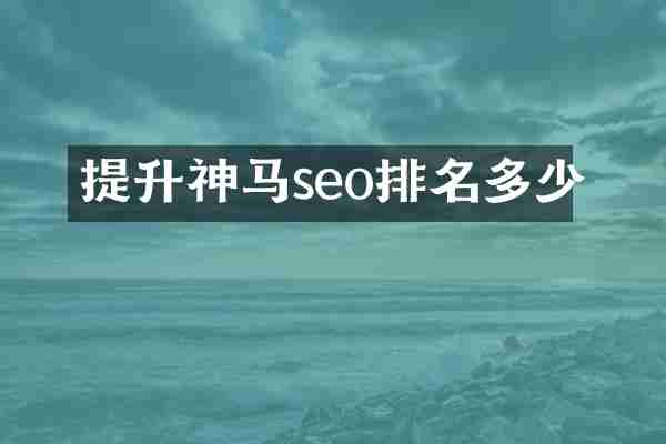 提升神马seo排名多少