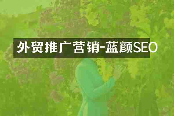 外贸推广营销-蓝颜SEO