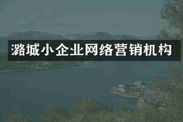 潞城小企业网络营销机构