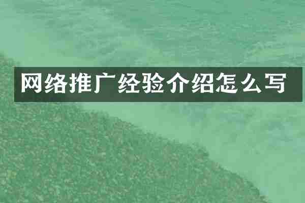 网络推广经验介绍怎么写
