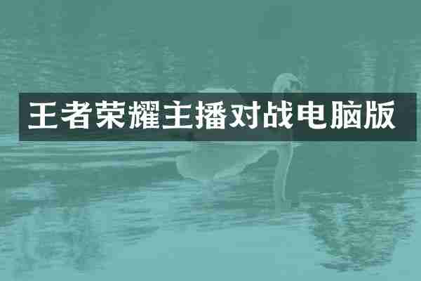 王者荣耀主播对战电脑版
