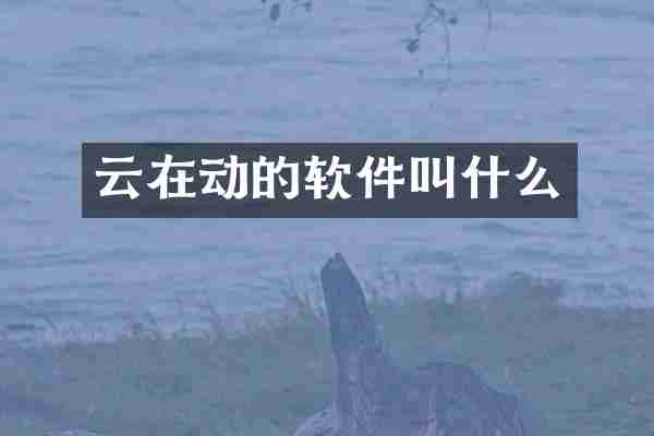 云在动的软件叫什么