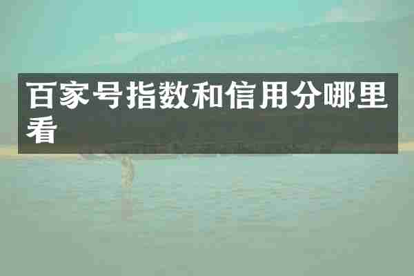 百家号指数和信用分哪里看