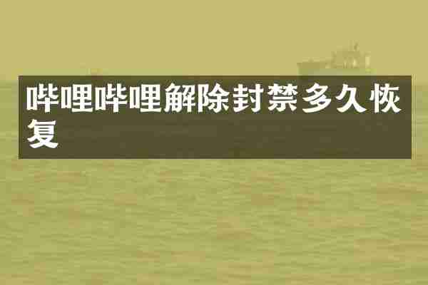 哔哩哔哩解除封禁多久恢复