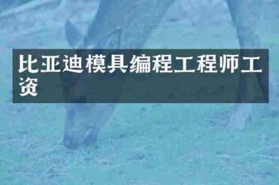 比亚迪模具编程工程师工资