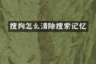 搜狗怎么清除搜索记忆