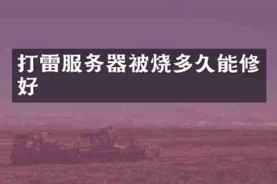 打雷服务器被烧多久能修好