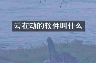 云在动的软件叫什么