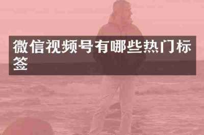 微信视频号有哪些热门标签