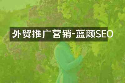 外贸推广营销-蓝颜SEO