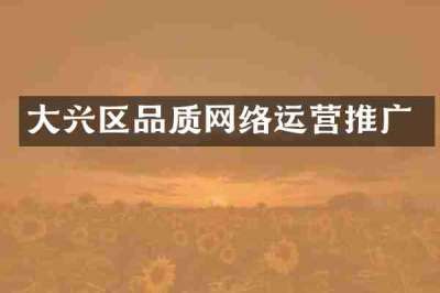 大兴区品质网络运营推广