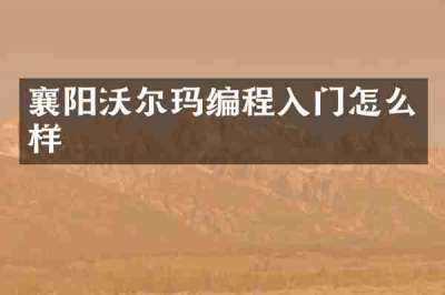 襄阳沃尔玛编程入门怎么样